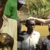 Mozambique: Un sorcier tente de perturber une évangélisation avec des serpents, mais il est vaincu et se donne à Christ